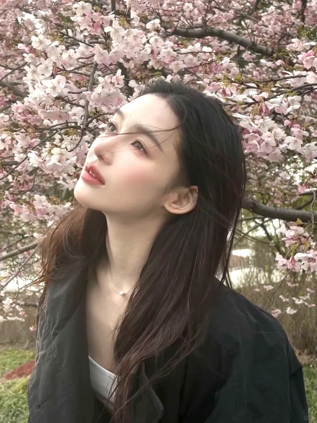 春 日·
看樱花的时候
都给我带上这个冷白皮滤镜！！
米白+65
亮度+6
HS