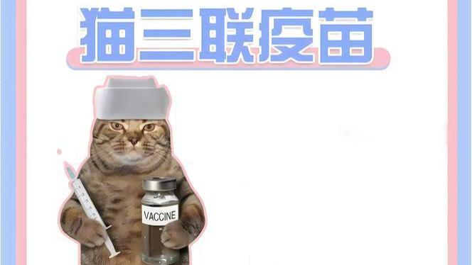 【宝藏】猫奴必看！国产猫三联疫苗，开启宠物健康保护新纪元