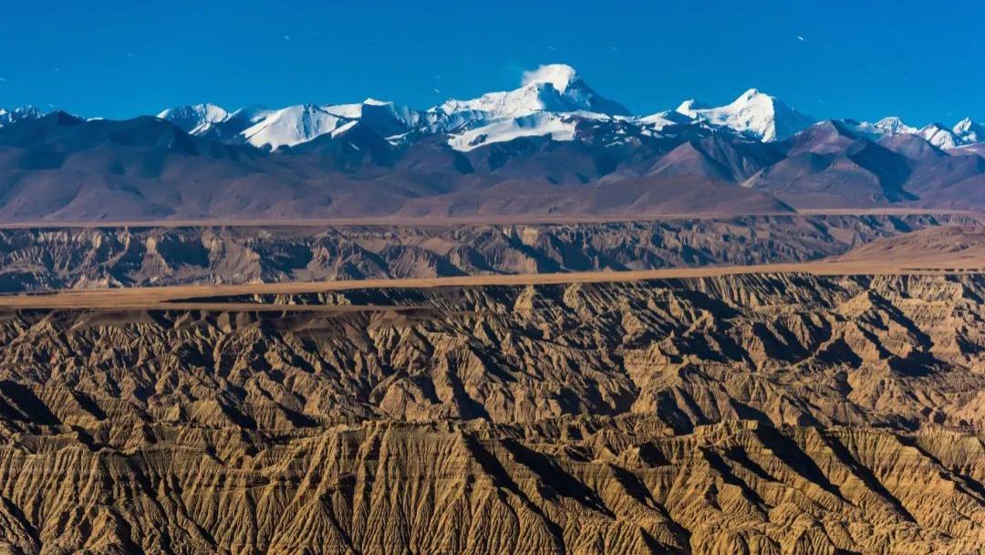 为什么说女性最后的归宿是移民？