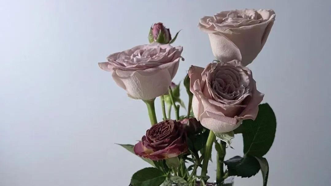 家里闲置的丝带可别扔，7个改造方法变废为宝，超实用！