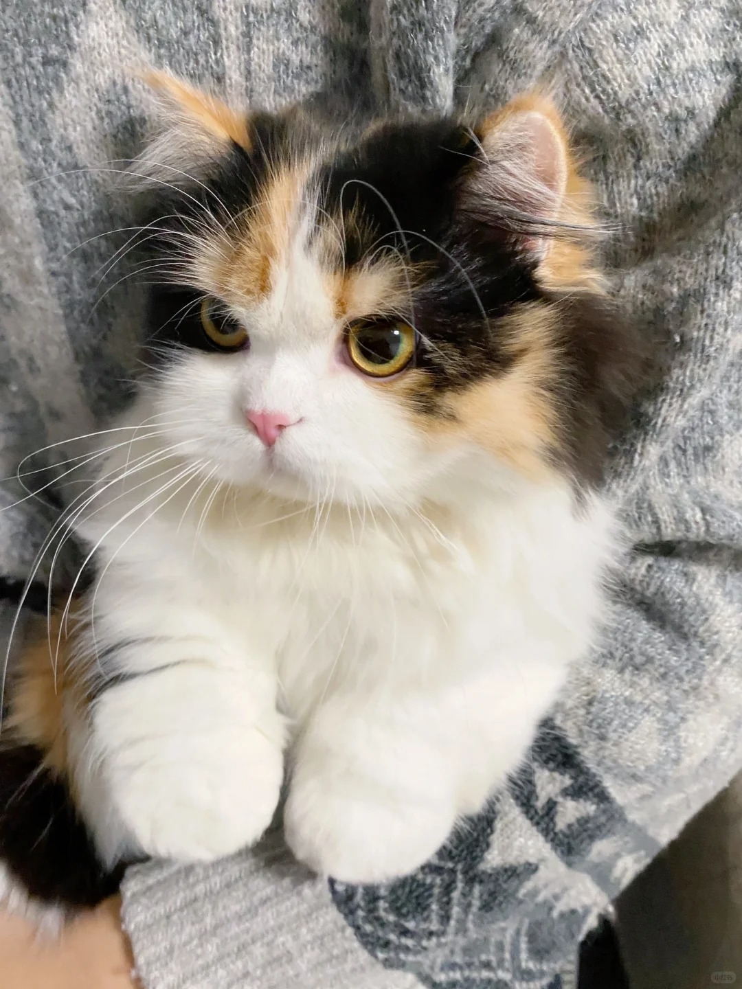 我是就不爱洗澡，我连脚也不洗
我脚丫子黑黑的   我还爱上床  我妈还拿我没办法