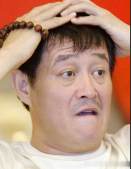 真相了!让赵本山离开央视春晚的不是宋丹丹更不是范伟,是她!(赵本山为什么退春晚)-第10张图片-九妖电影 真相了!让赵本山离开央视春晚的不是宋丹丹更不是范伟,是她!(赵本山为什么退春晚)-第10张图片-九妖电影