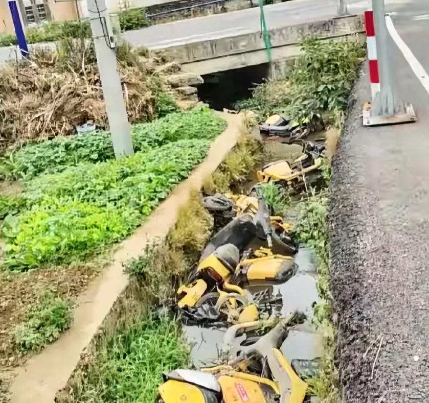 有一名女子早上发现路边的排水沟里，塞满了七八辆共享电动车，这些电动车看起来非常新