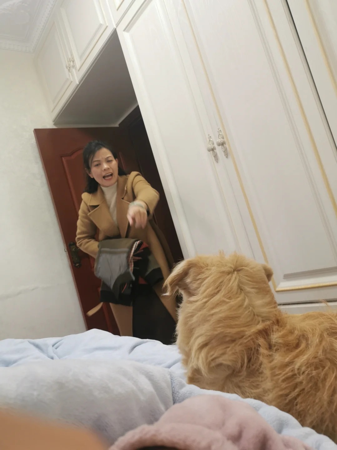 当我妈发现狗上床后
哈哈哈哈哈哈哈哈哈