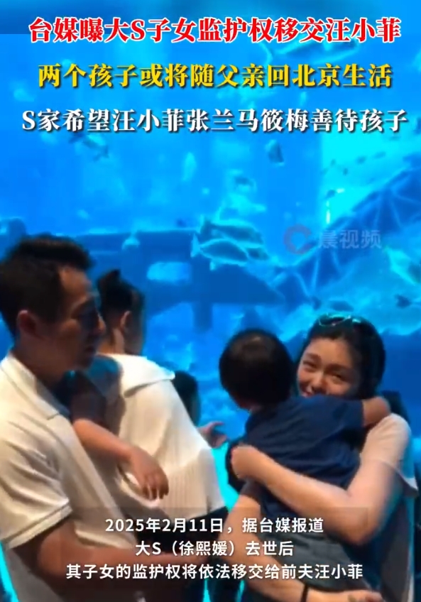 台媒曝大S子女监护权移交汪小菲