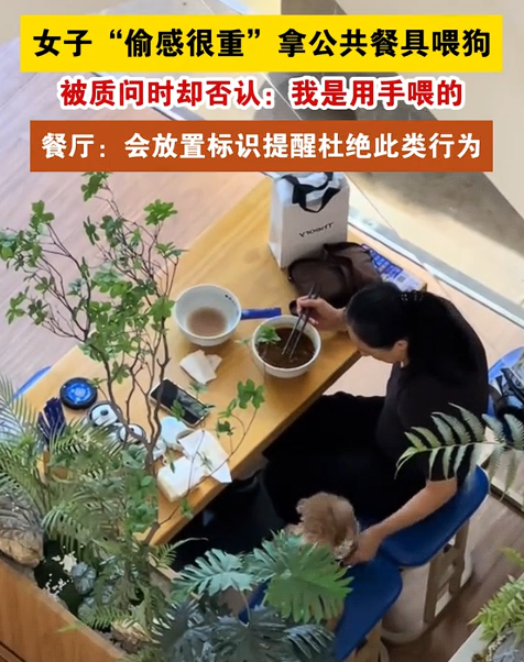 女子带狗进餐厅吃饭，竟偷偷用公共餐具喂狗，被质问时，女子竟辩称是用手喂的。视频一