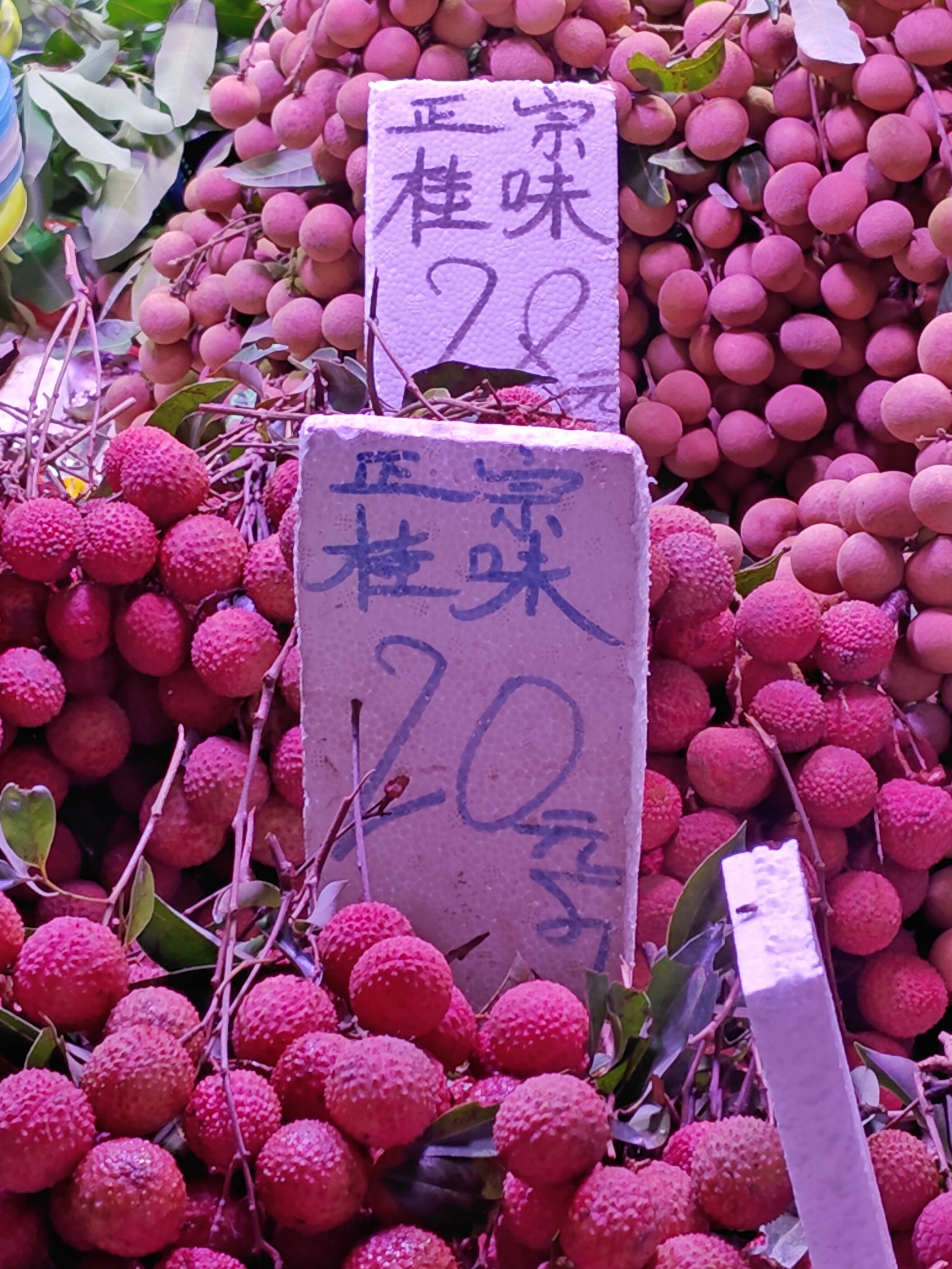 桂味荔枝，现价20和28两种，网友说便宜的是驳枝（嫁接）的，我也没搞明白。#广州