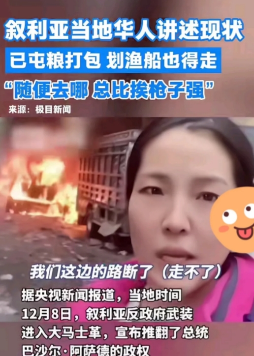 叙利亚动乱华人女士屯粮打包划船也得走，不走怕挨枪子