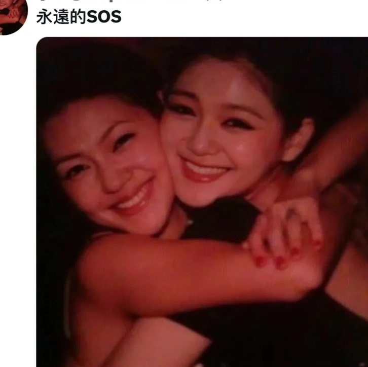 网友疑似扒出小s的脸书账号小号
这个小号昨天发出了小s和姐姐大s的合照，并留言永