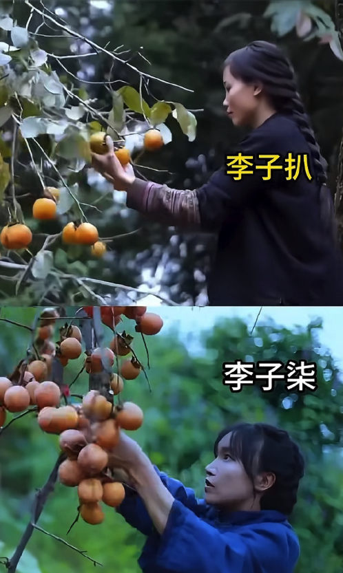 越南的李子扒，在停更长达三年之后竟然即刻恢复更新