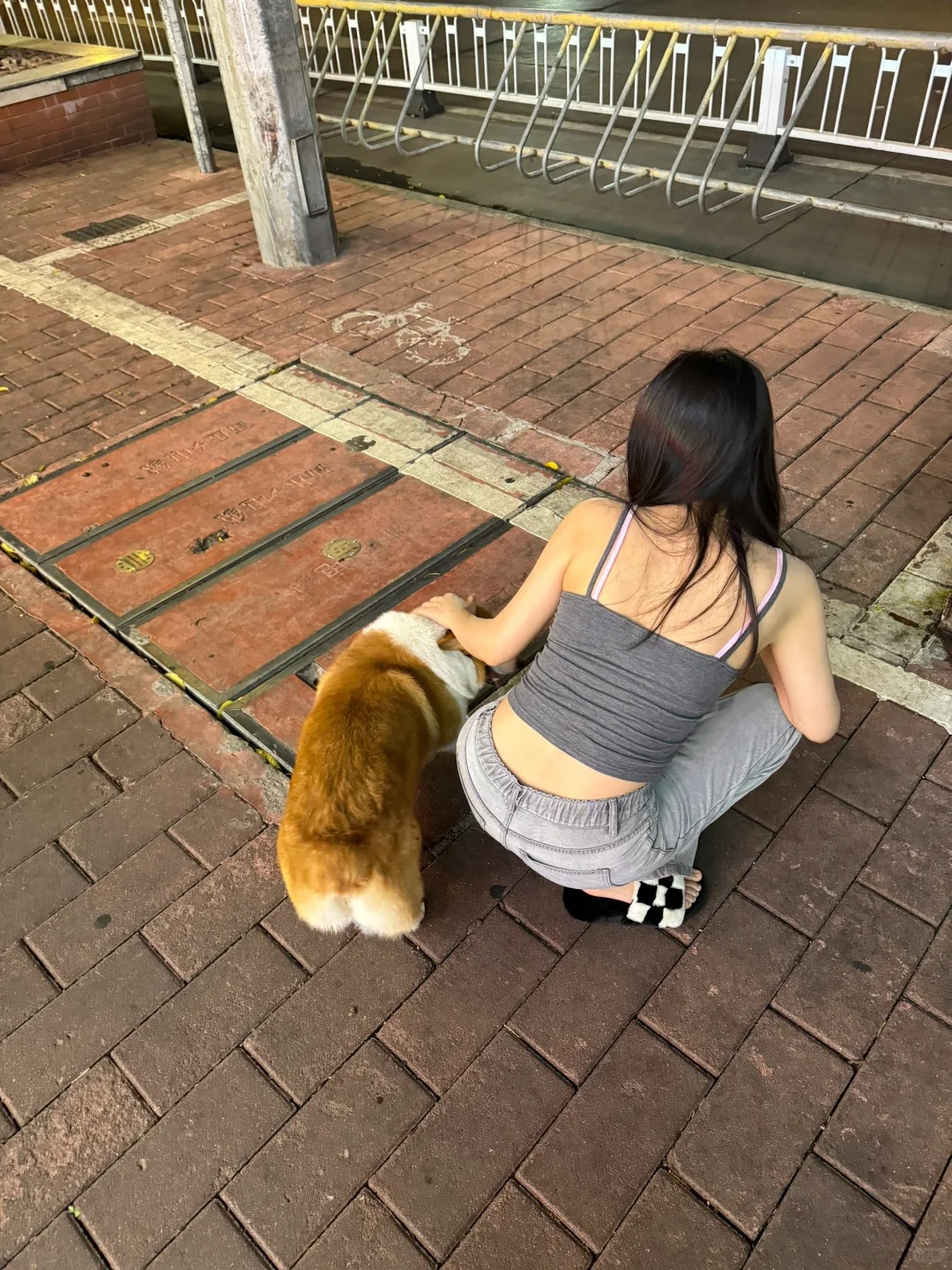 被捏了一路 小狗也不能放过