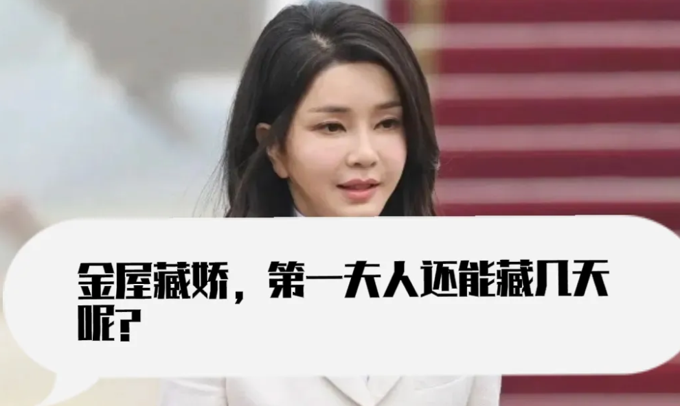 尹锡悦金屋藏娇玩出了新高度！