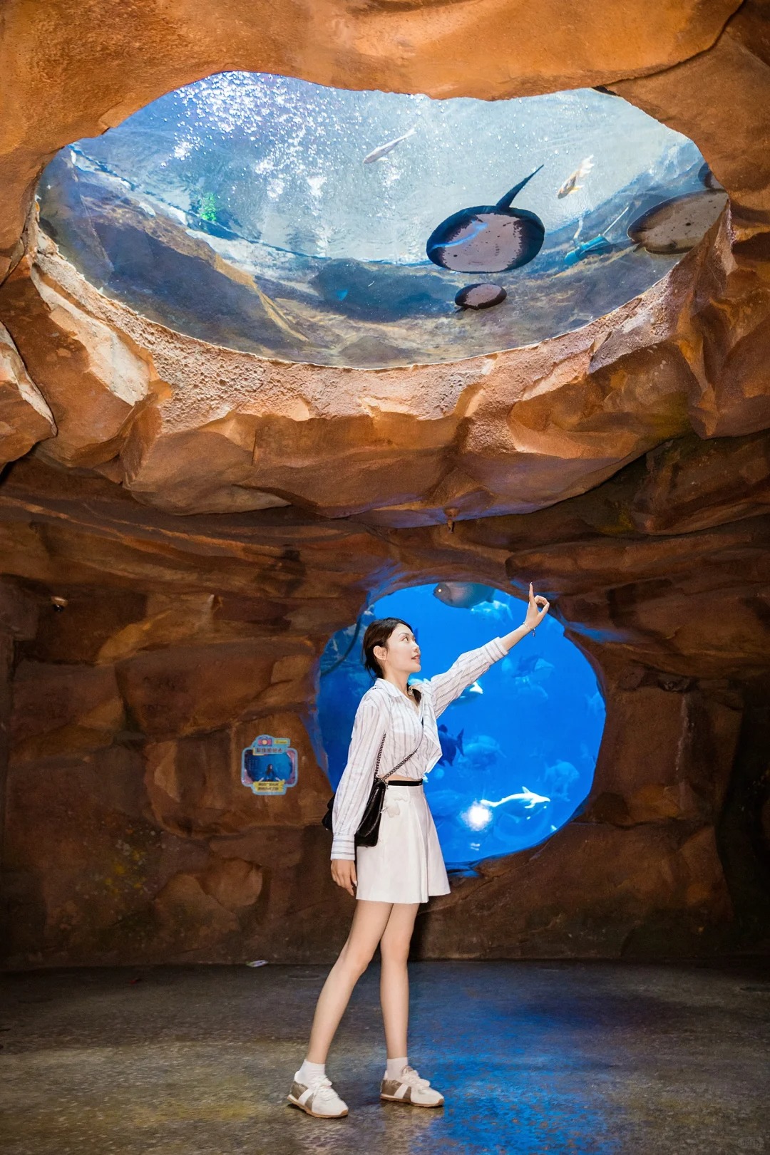 被一片蓝色包围的浪漫世界