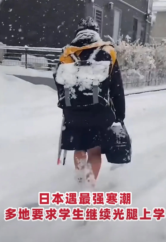 日本遇到最强寒潮，把国内日吹的嘴全冻上了，多年来憋着劲儿夸日本教育好，光腿是对意