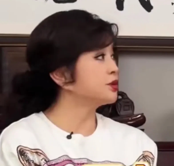 一切尽在“不去”两字里
要么说刘晓庆吃的盐比李小冉吃的饭还多来
看看刘晓庆这说话