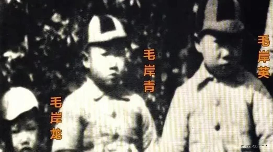 这是一张珍贵的照片，是主席三个儿子的唯一一张合影，也是毛岸龙留给后人的唯一一张影