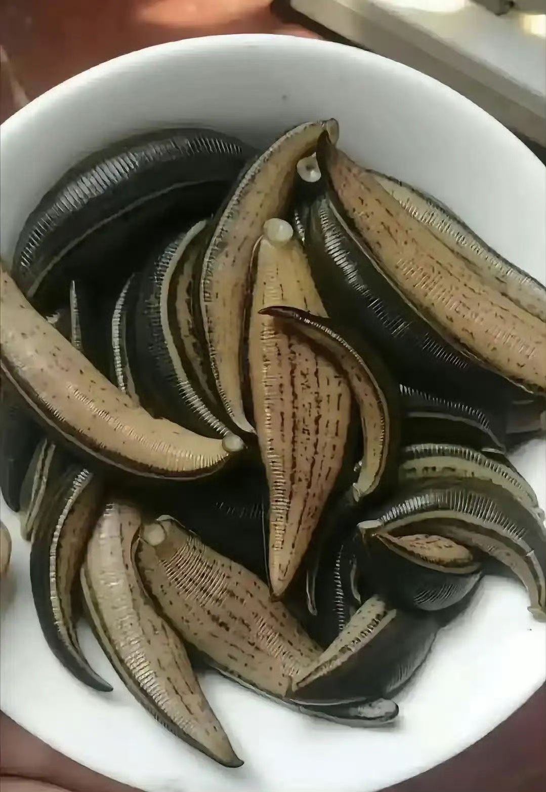 姑父我与你无冤无仇吧？