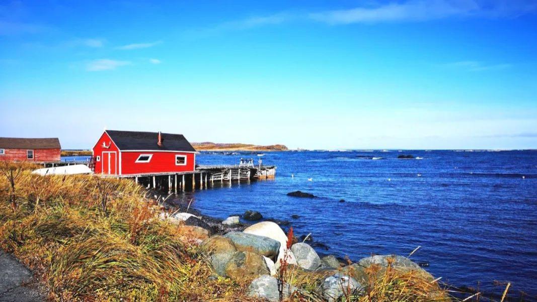 纽芬兰岛，世界尽头的宁静一隅