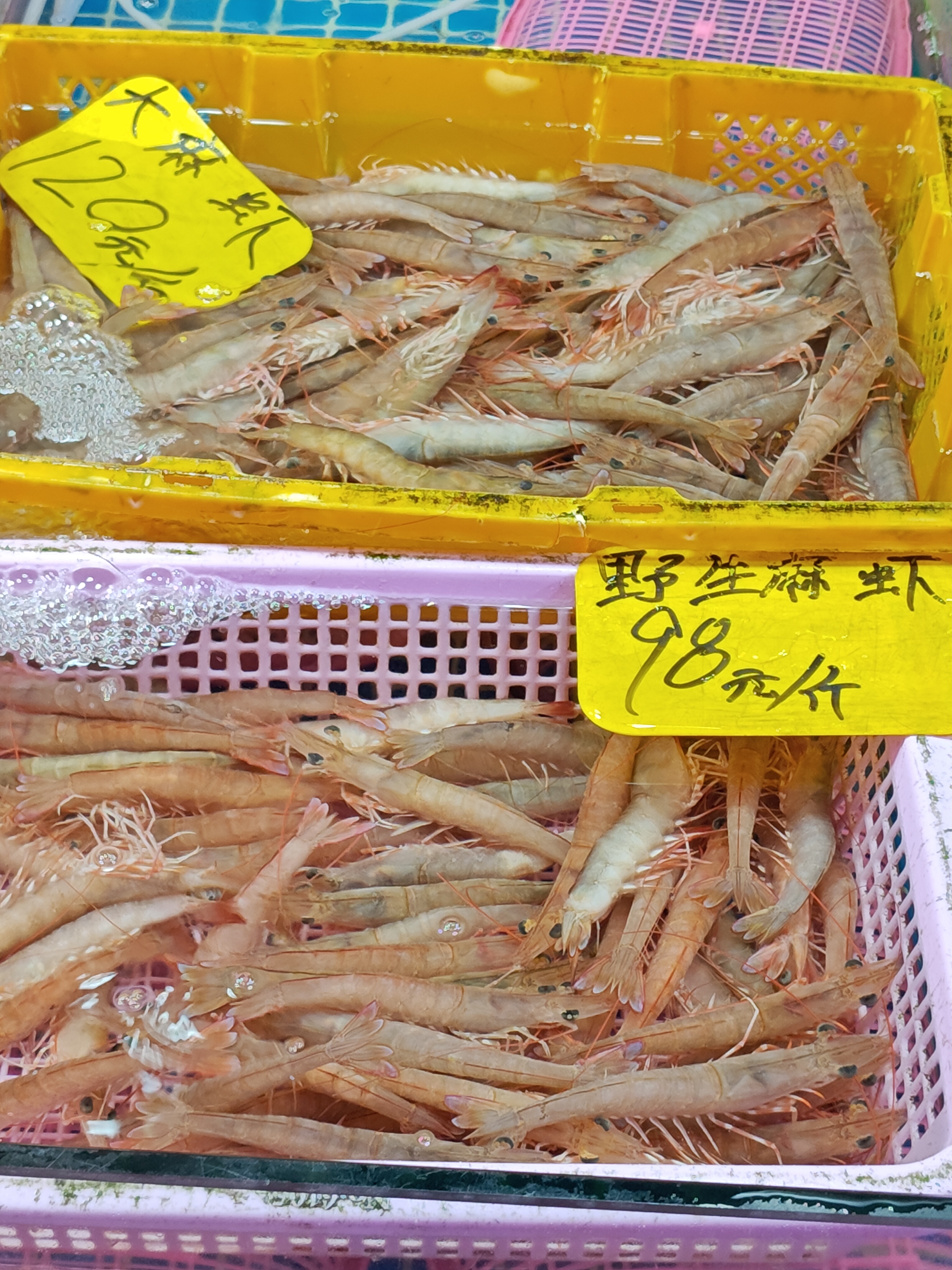 广州细岗市场大麻虾120/斤，沙园农副产品市场小麻虾130，莲花山码头小麻虾85