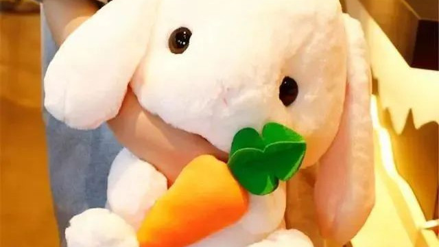 年末大扫除，这份断舍离清单请收下，让家更干净整洁