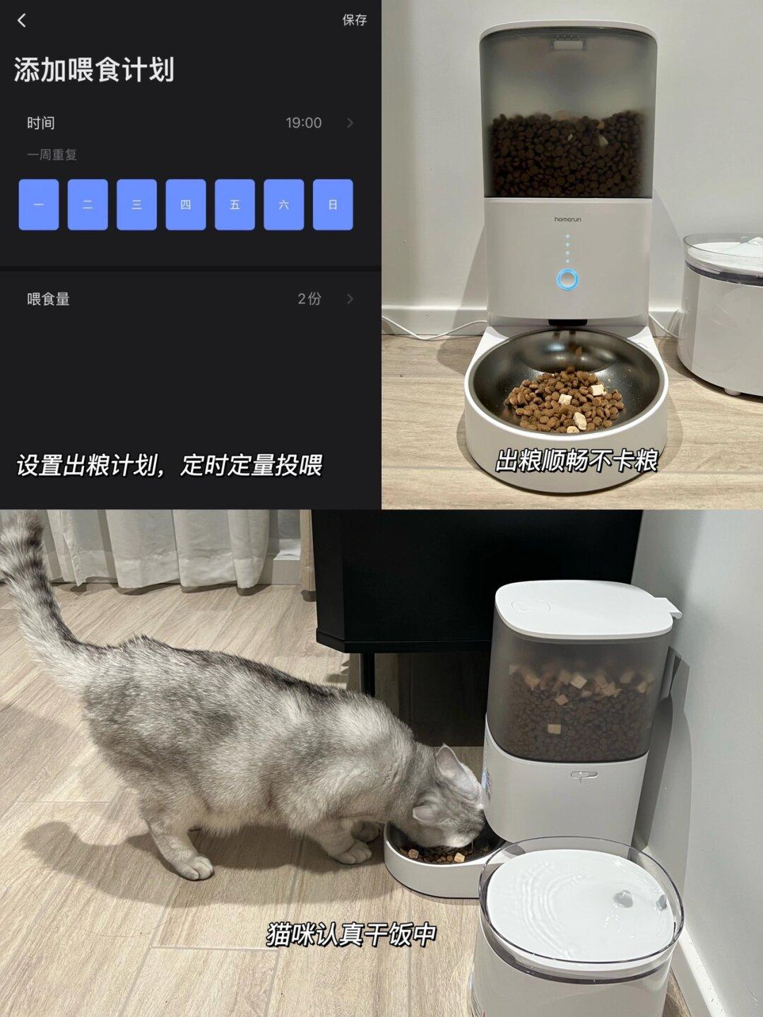 关于我在电竞房养猫，竟然有400w人不知道