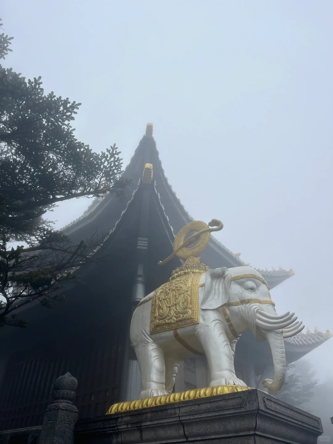 峨眉山
再不回来了
整整十个小时。除了金顶那半个小时，剩下的时间全部不是排队就是
