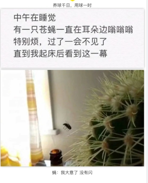 养球千日，用球一时