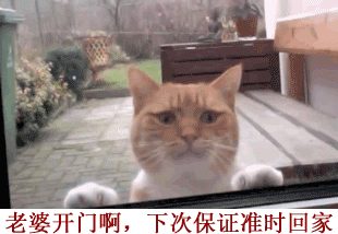 据说男人们婚后都是这样的