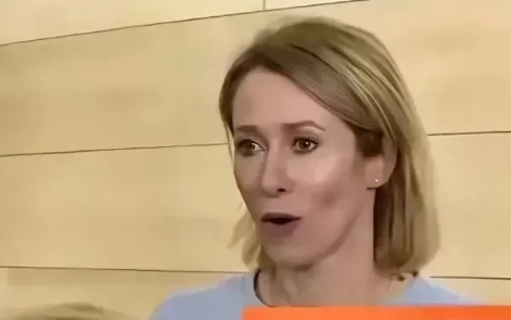 欧盟外长卡斯拉发言：如果乌克兰与俄罗斯达成停火的方案不符合美国的要求，欧盟将不再