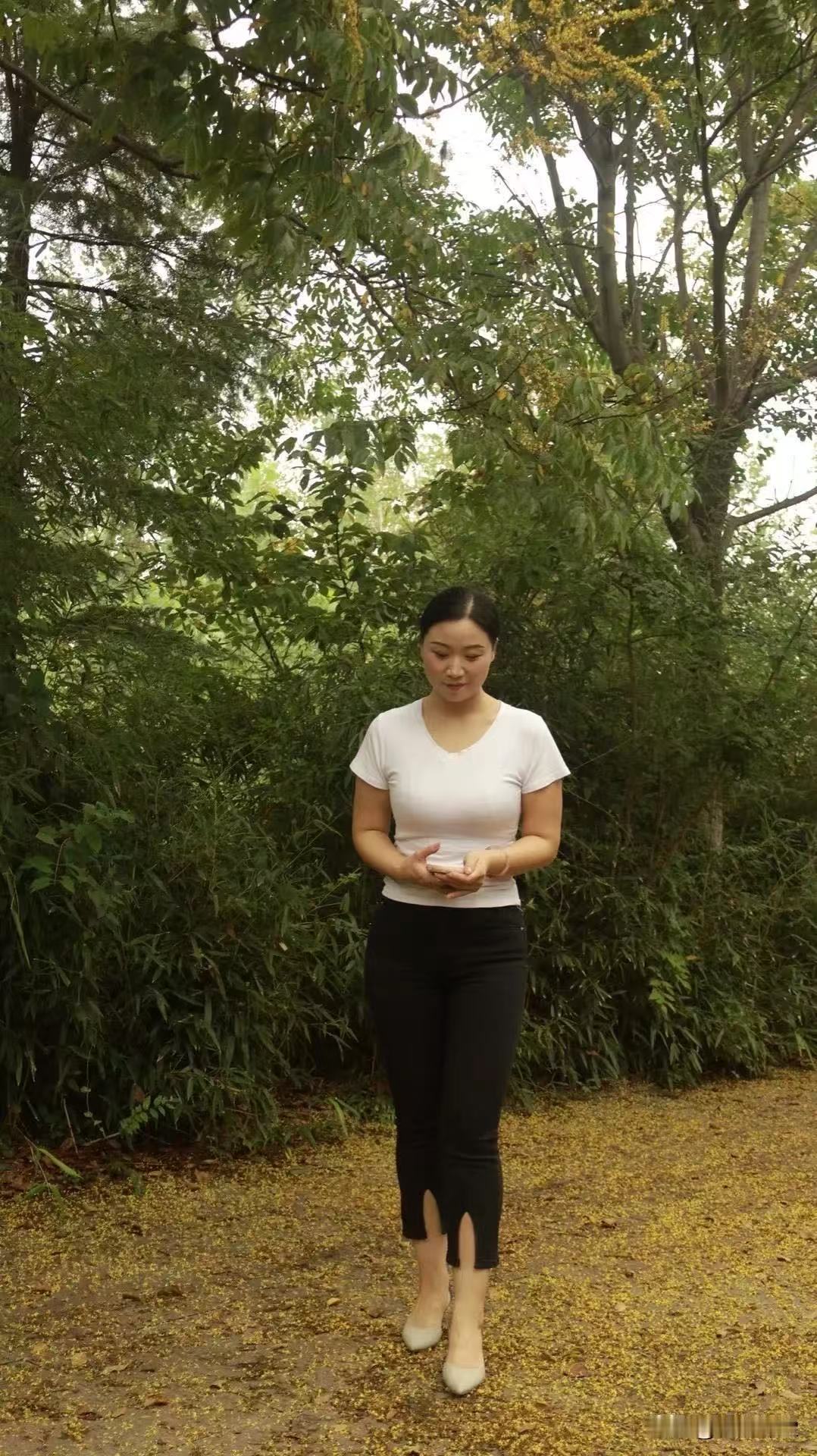 不想努力了有招老板娘的吗我来面试哈哈哈哈