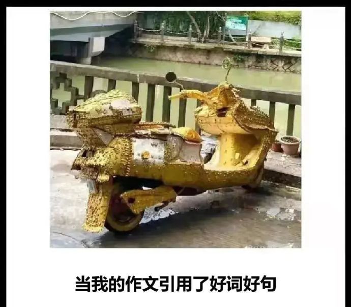 当我的作文引用了好词好句