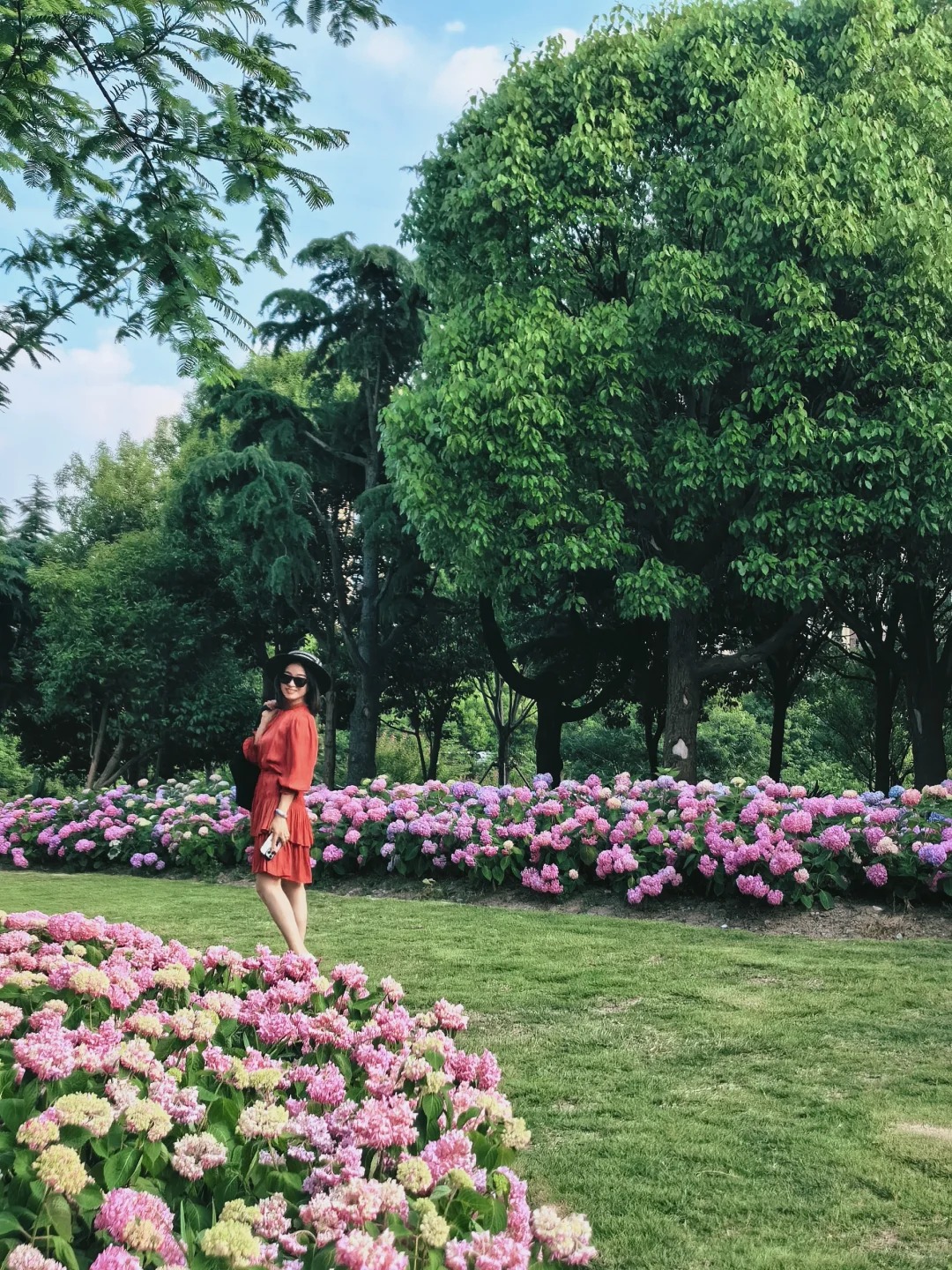 上海超小众绣球花100%盛开
初夏课代表来了……挖到宝藏公园了，这里的绣球花10