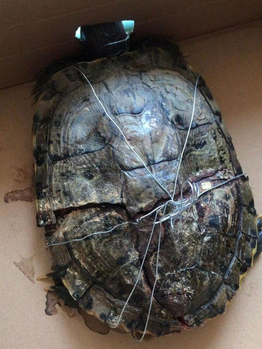 怎么才能治好它