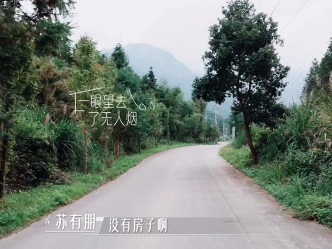苏有朋的出场怎么这么好笑！

苏有朋要去找林心如她们，从大巴车上下来后，看着陌生
