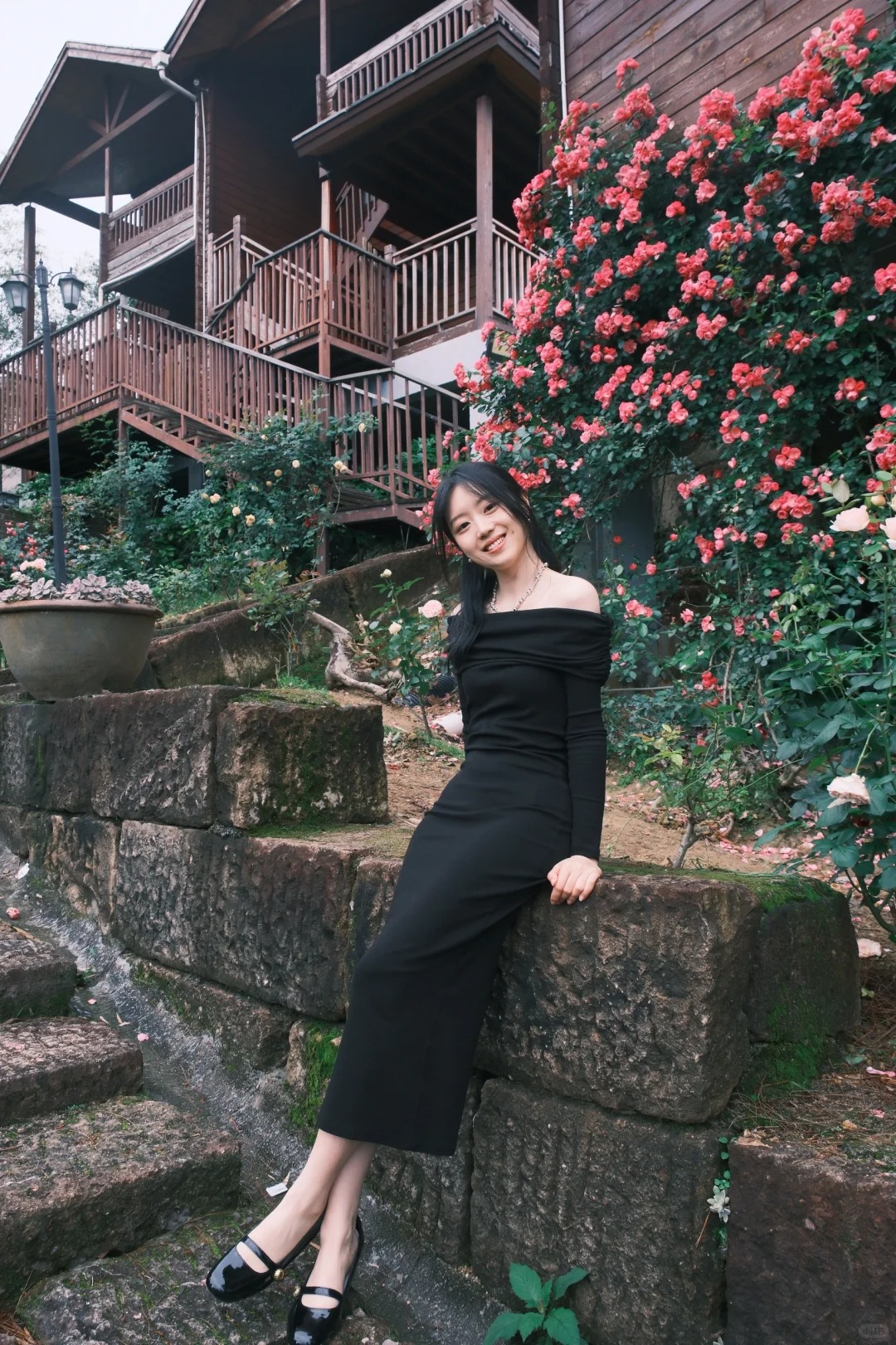 赶上蔷薇花的小尾巴！