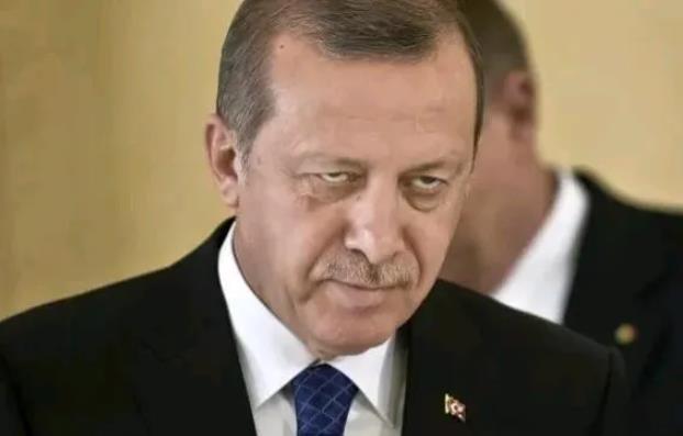 埃尔多安表态了！
土耳其总统埃尔多安28日说，以色列被提供武器的大国宠坏了，正变