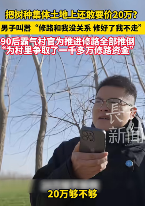 狮子大开口！江苏一90后村官争取到1000万资金给村里修路，却被集体土地上的大树