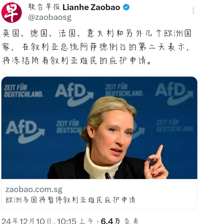 什么叫弱国无尊严？阿萨德政府倒台的第二天，很多欧洲国家便直接否决了叙利亚难民的庇