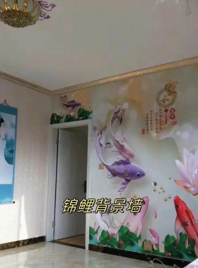 老人说锦鲤可以带来好运