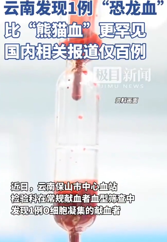 云南发现1例罕见恐龙血