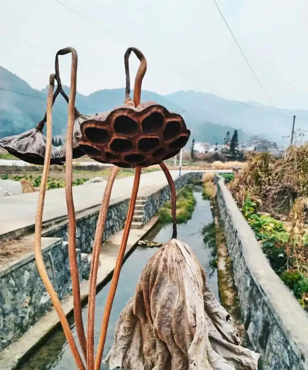 每到过年，回家的攀比大戏就开场了，就拿咱湖南来说，好多人可太爱面子了。
 在外面