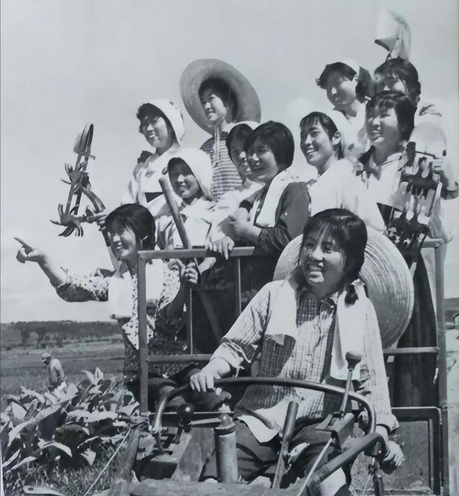 1969年，知青张杨州，因54元失窃被怀疑成小偷，失去返城机会。谁知，他明知实情