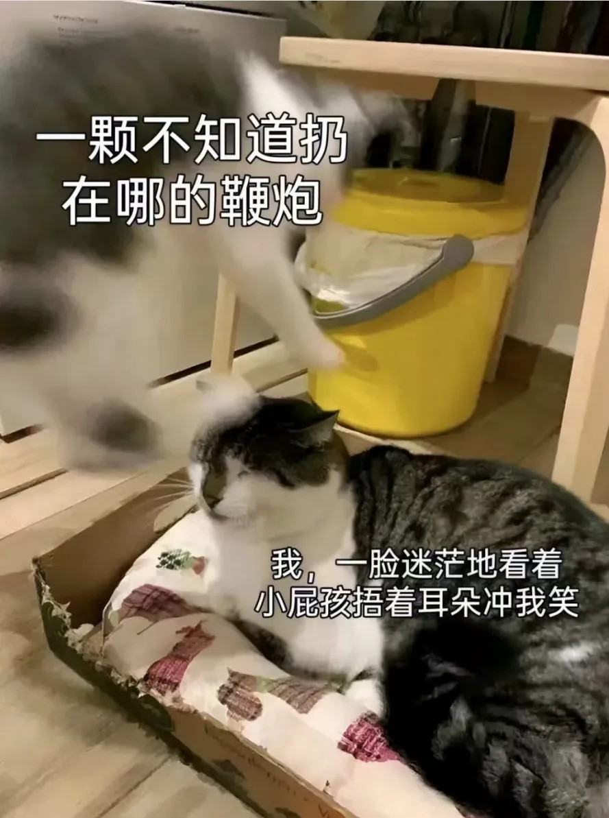 我，一脸迷茫地看着