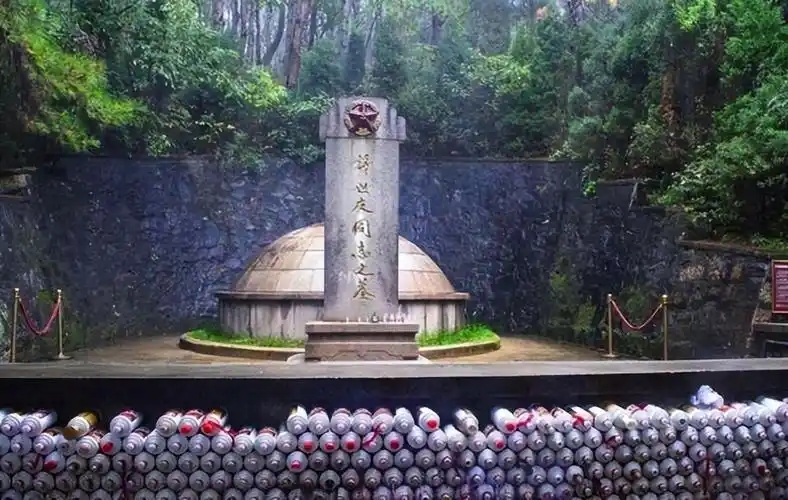 许世友将军逝世，邓公破例批土葬，夜葬尽孝成传奇