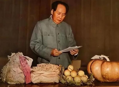 毛主席低调归乡，拒修父母坟，深情忆往昔