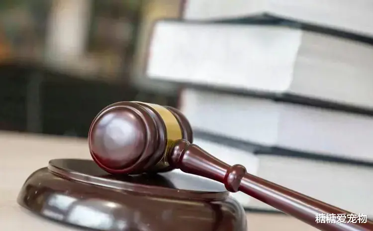 机动车违章扣分新规定有什么 一般交通违章扣分新规定