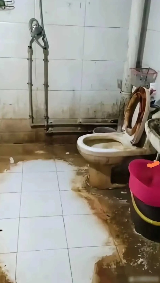 忙活了一天的成果，高低给个赞呗？