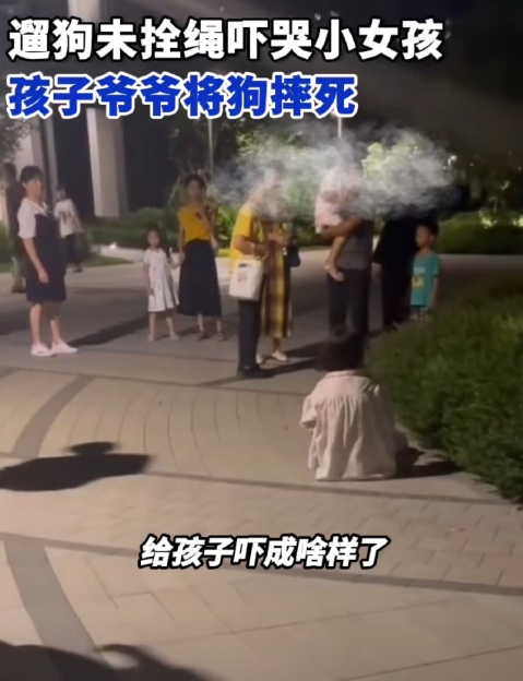 反正我的建议就一个，不牵绳出门的狗一律让管理部门当无主流浪狗处理，

违规的禁养