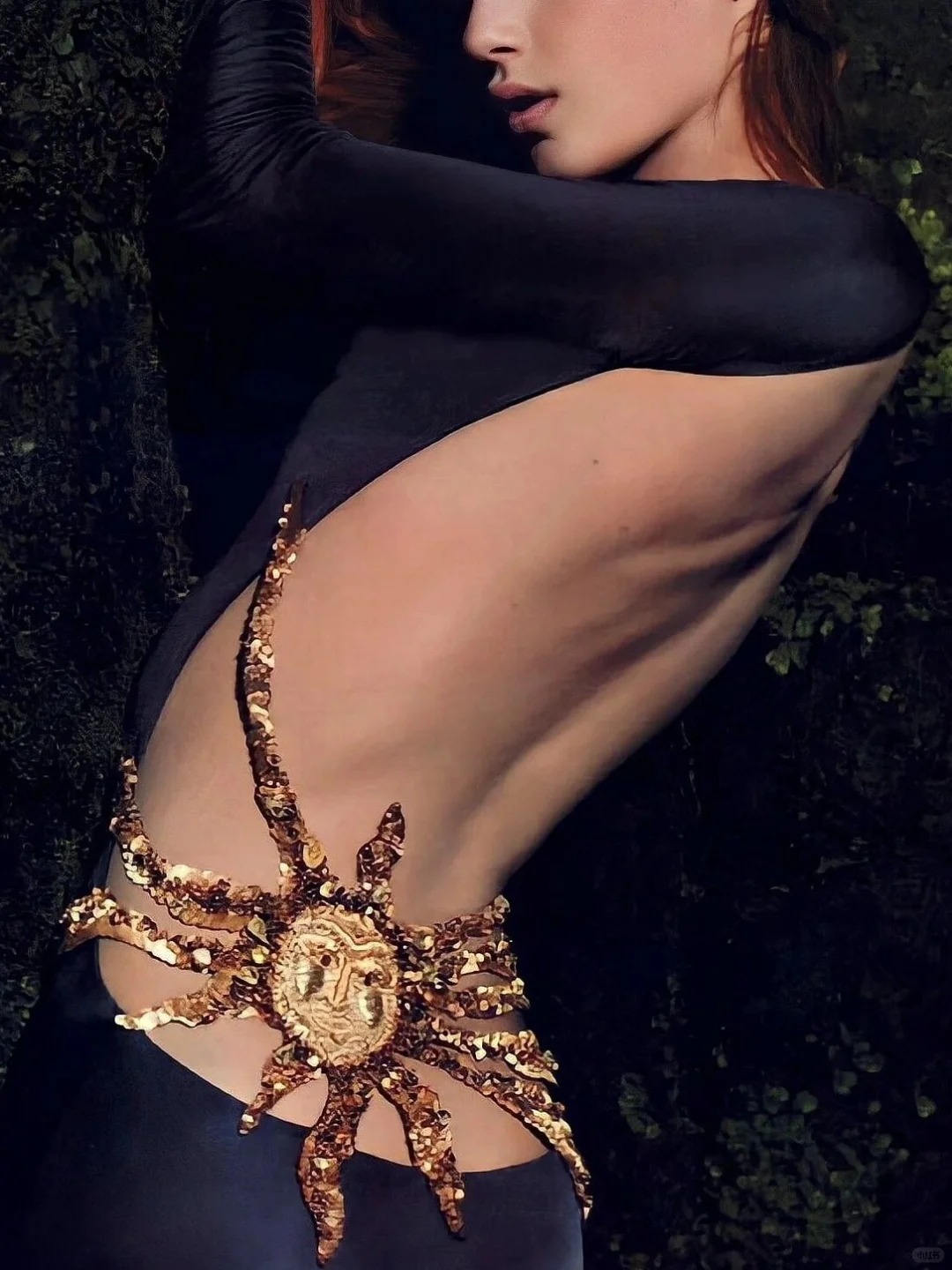 秀场分享｜Roberto Cavalli 2004AW野性性感
Roberto 