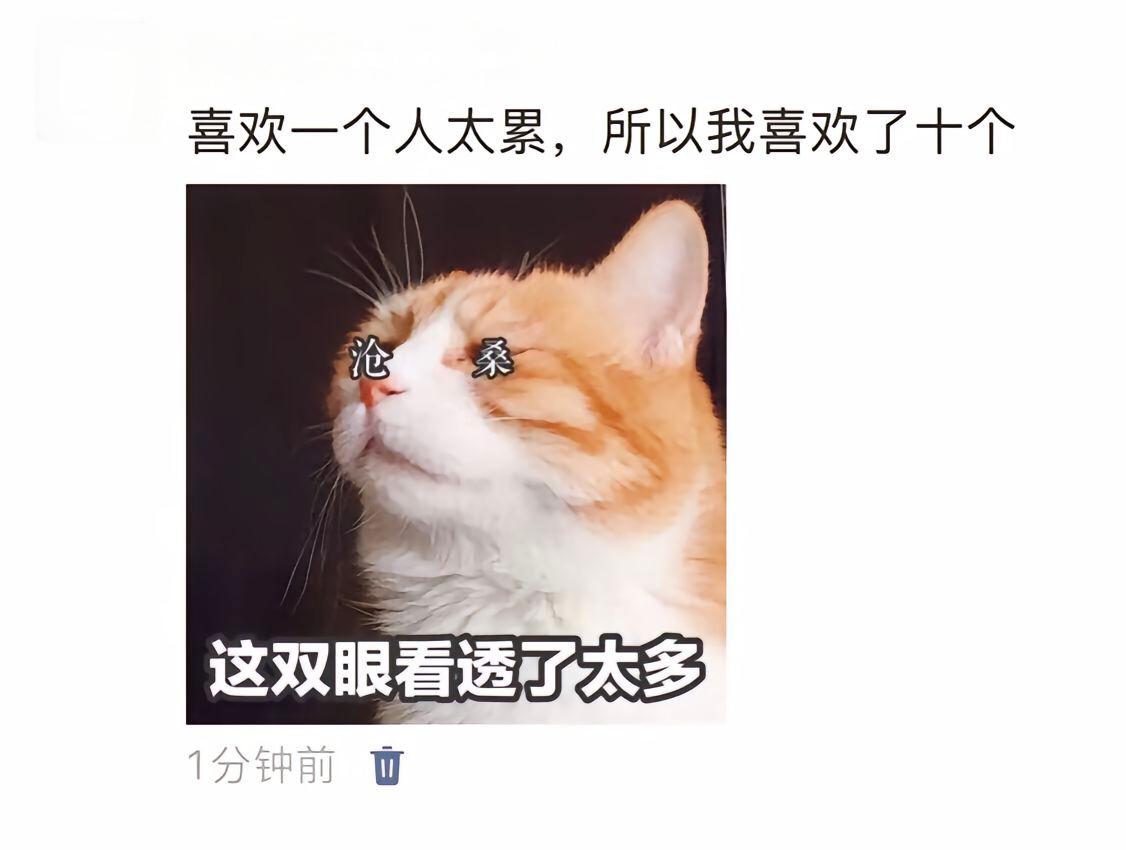 这双眼看透了太多